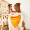 Bandana...Bandana Coton Premium pour Chien - Personnalisable O Orange {{ tags }}
