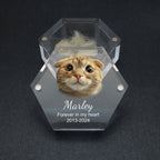 Boîte à poils d'animaux personnalisée {{ tags }}