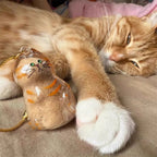 Boîte Souvenirs Poils Animaux - Bouteille Fourrure Chat {{ tags }}