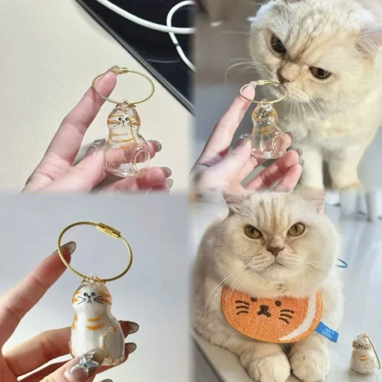 Boîte Souvenirs Poils Animaux - Bouteille Fourrure Chat {{ tags }}