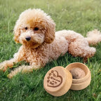 Boîte à souvenirs de poils de chien, boîte à souvenirs en bois pour poils d'animaux, boîte commémorative Durable pour animaux de compagnie, boîte commémorative de collecte de dents pour cendres de chiens et de chats {{ tags }}