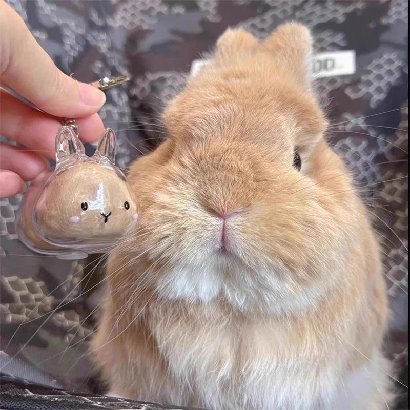 Porte-clés Souvenir pour Poils d’Animaux - Capsule Commémorative {{ tags }}